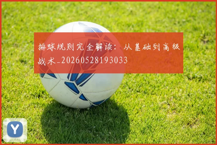 排球规则完全解读：从基础到高级战术_20260528193033
