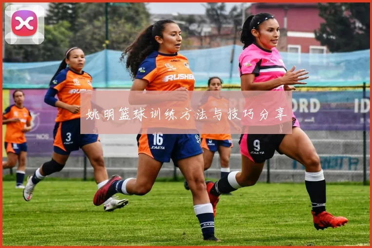 姚明篮球训练方法与技巧分享