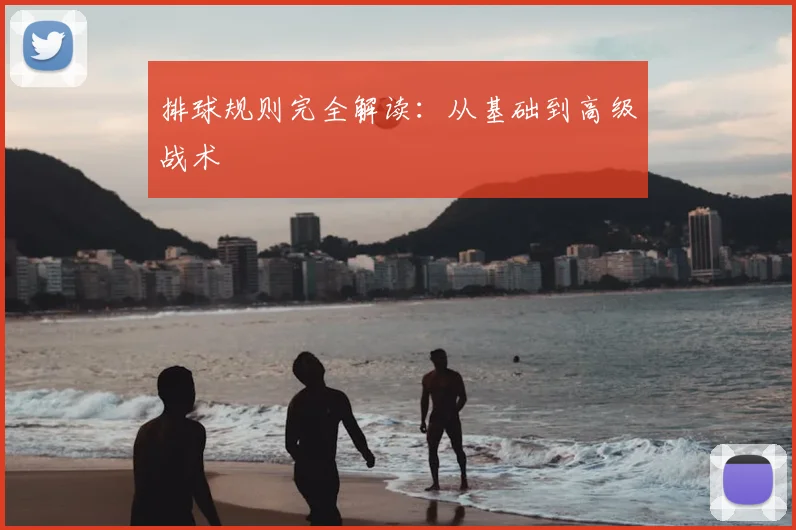 排球规则完全解读：从基础到高级战术