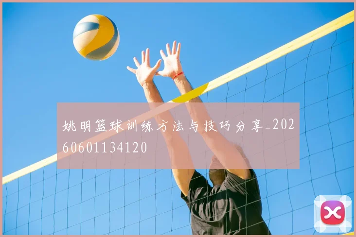 姚明篮球训练方法与技巧分享_20260601134120
