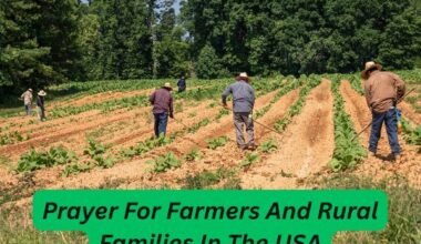 Prayer For Farmers And Rural Families In The USA